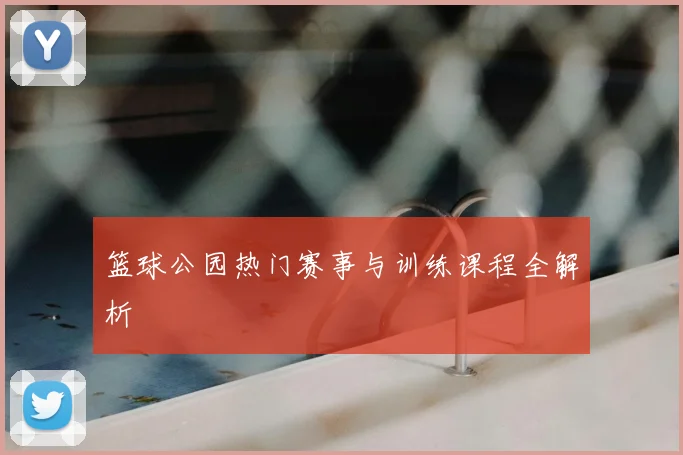 篮球公园热门赛事与训练课程全解析
