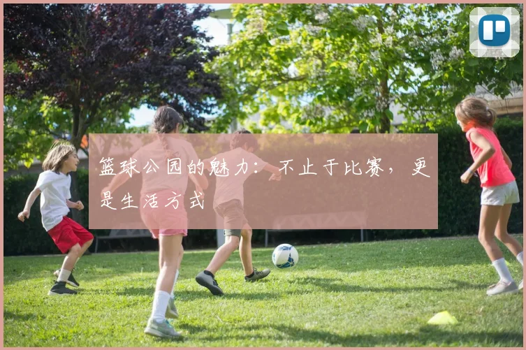 篮球公园的魅力:不止于比赛,更是生活方式