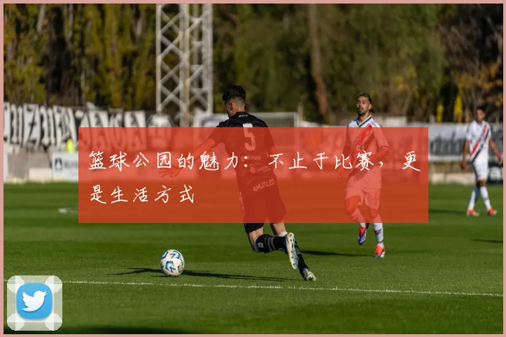 篮球公园的魅力：不止于比赛，更是生活方式